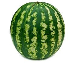 melon d' eau-1