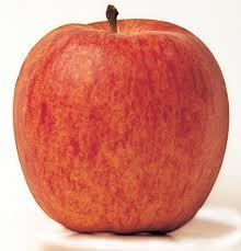 pomme, Gala-1