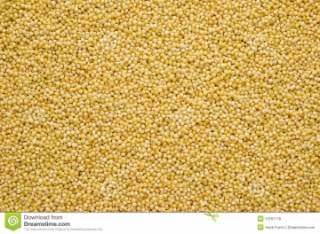 millet-1