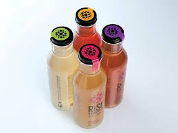 kombucha, rose et schizandra-1