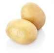 patate, jaune 